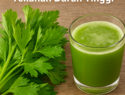 Manfaat Daun Seledri untuk Menurunkan Tekanan Darah Tinggi