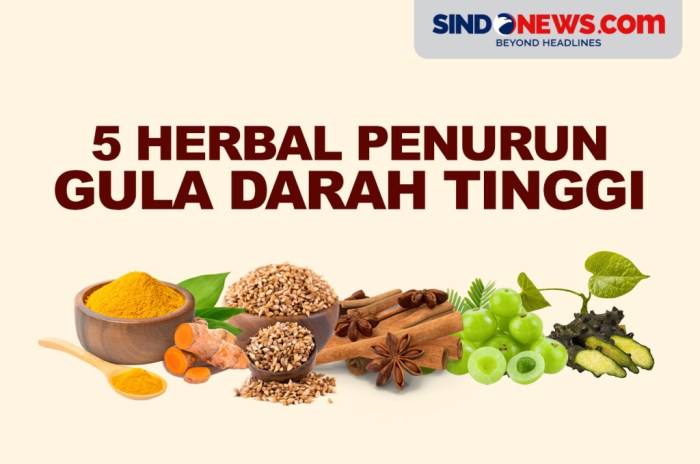 Obat Penurun Gula Darah Dan Diabetes Herbal Keloreena 50 Kapsul ...