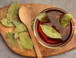 CARA MENGOLAH DAUN SALAM SEBAGAI OBAT HERBAL HIPERTENSI