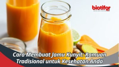 CARA MEMBUAT JAMU HERBAL PENURUN KADAR GULA DARAH
